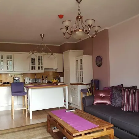 Alexa Ski Apartment *