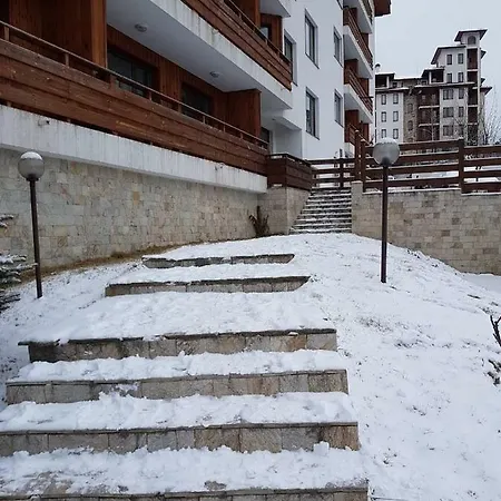 Alexa Ski